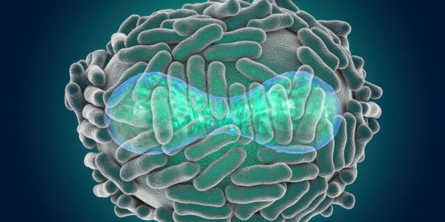 OTD in 1980: Smallpox eradication was certified.