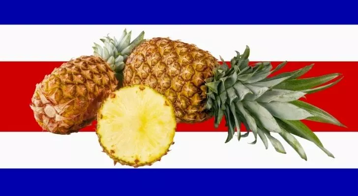 Pineapples with the Costa Rican flag in the background