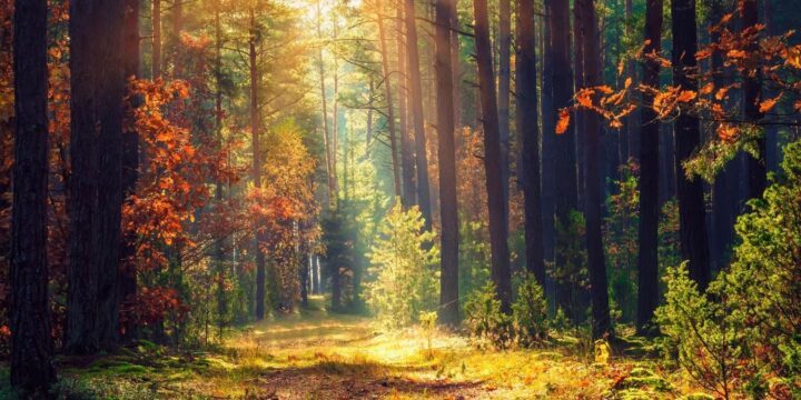 September 2: Facts & Historical Events On This Day - The Fact Site