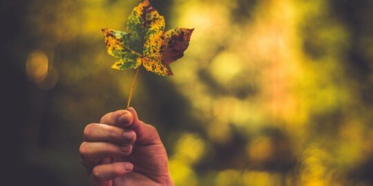 September 22: Facts & Historical Events On This Day