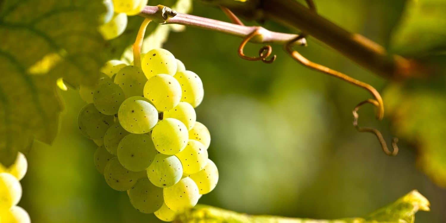 September 4 Facts Historical Events On This Day The Fact Site September 4 Facts Historical Events On This Day The Fact Site