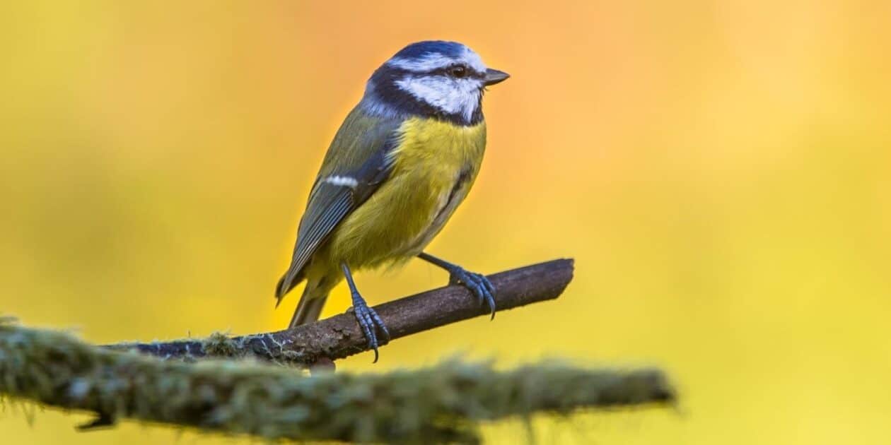 September 7: Facts & Historical Events On This Day - The Fact Site