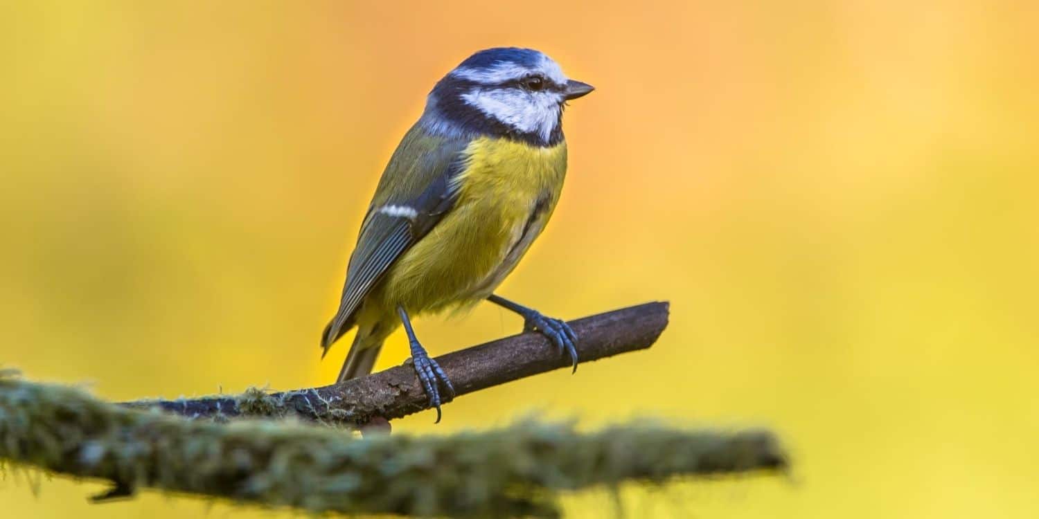 September 7 Facts & Historical Events On This Day The Fact Site