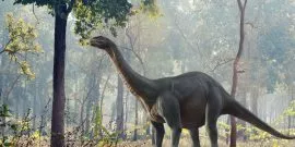 Facts about the Brontosaurus dinosaur