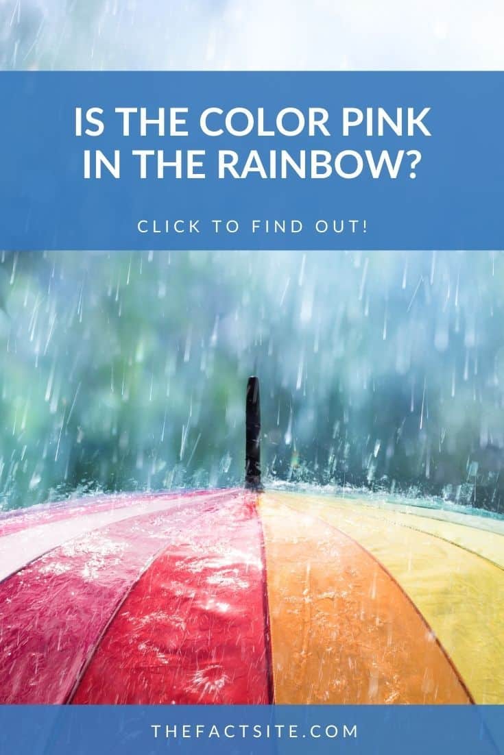 Is The Color Pink In The Rainbow? The Fact Site