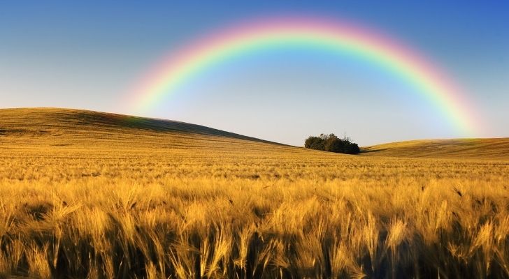 A rainbow beaming across wheat field