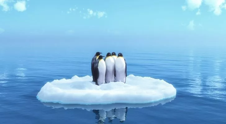 Three penguins on a small iceberg
