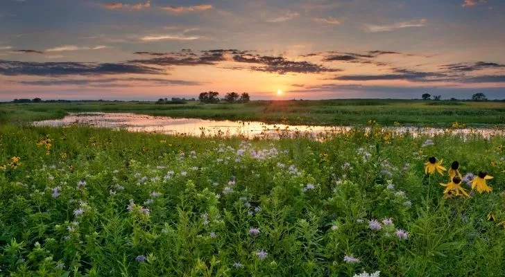 Rich green land and a shimmering river