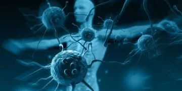 What is the immune system?