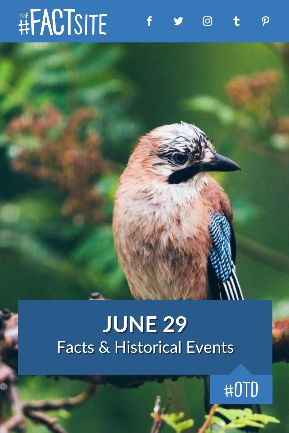 Facts & Historic Events That Happened on June 29