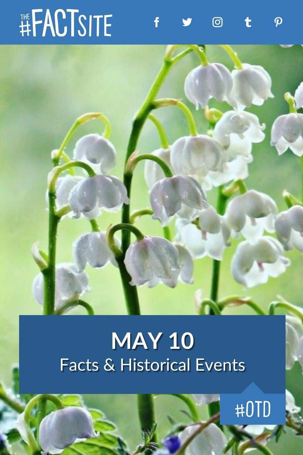 Facts & Historic Events That Happened on May 10