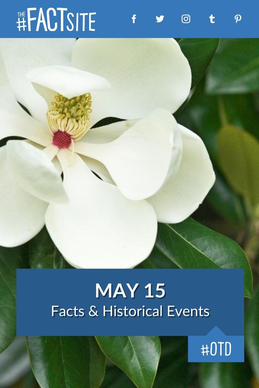what day does may 15th fall on this year