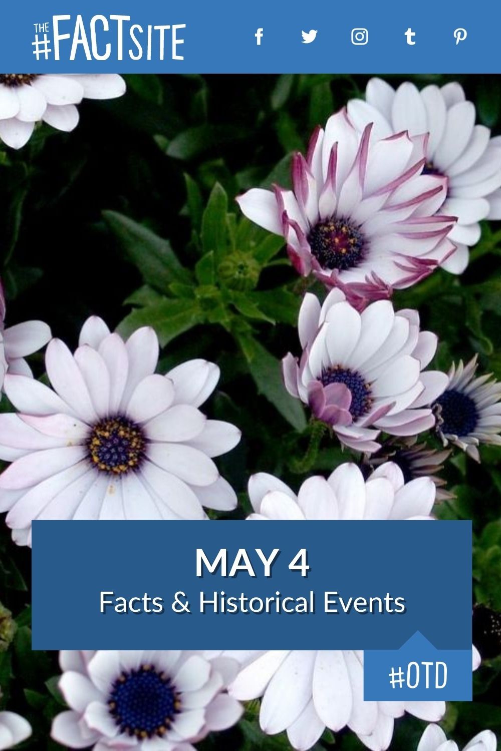 May 4 Facts & Historical Events On This Day The Fact Site