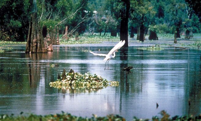 OTD in 1805: The previously known District of Louisiana became the Louisiana Territory.