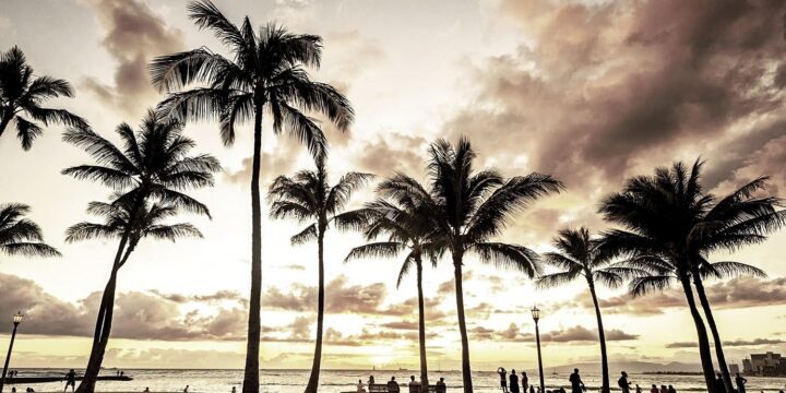 OTD in 1931: Hawaii recorded its hottest day ever at 100°F.