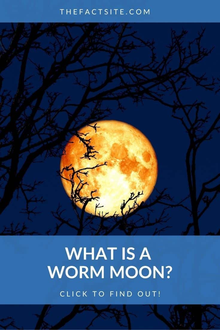 What Is A Worm Moon? The Fact Site