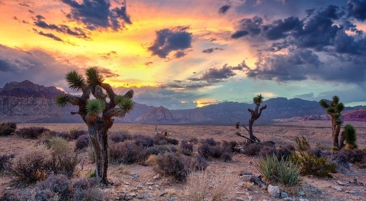 Dramatic arid looking landscape of Nevada