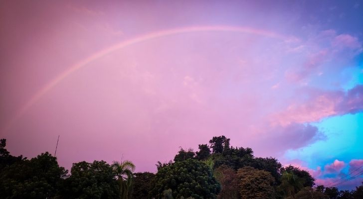 Is the color pink actually in the rainbow?
