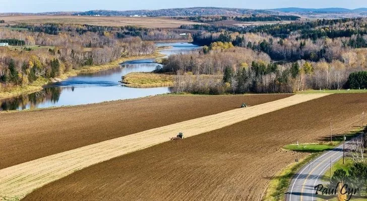 Aroostook land