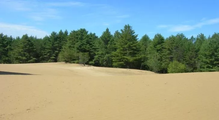 The silt sand desert in Maine