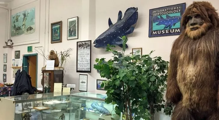 A look inside of the Cryptozoology Zoo in Maine