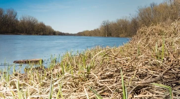 Mississippi River in Minnesota