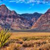 15 Facts about Nevada