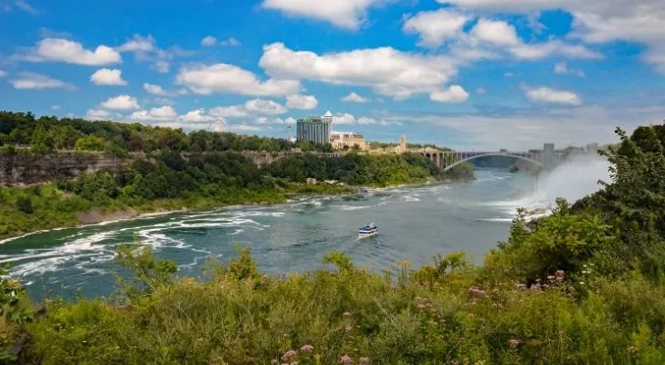 The Niagara Falls River flowing through the state park