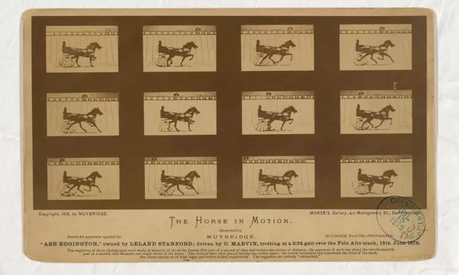 OTD in 1878: The first motion picture was filmed using several cameras to capture galloping horses.