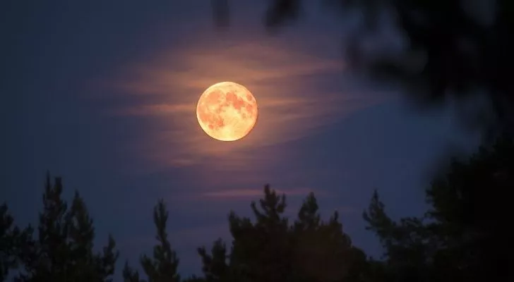 A full pink moon shining brightly in the April night sky