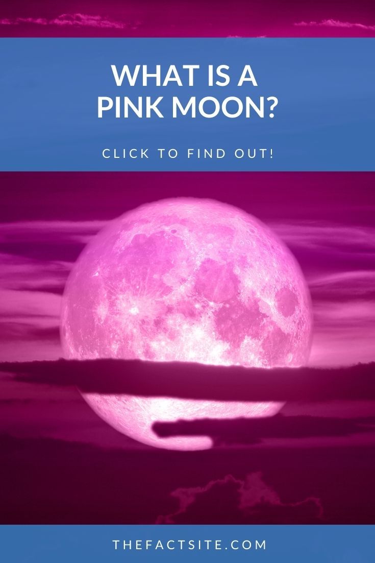 What Is A Pink Moon?