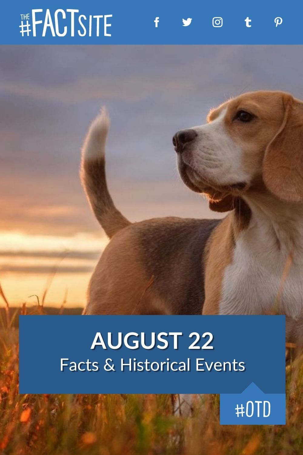 August 22: Facts & Historical Events On This Day