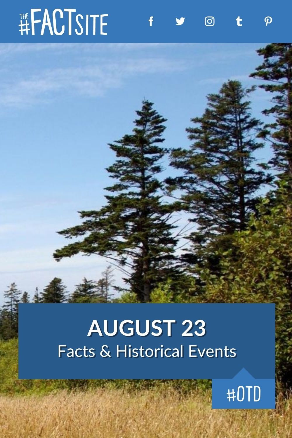 August 23: Facts & Historical Events On This Day