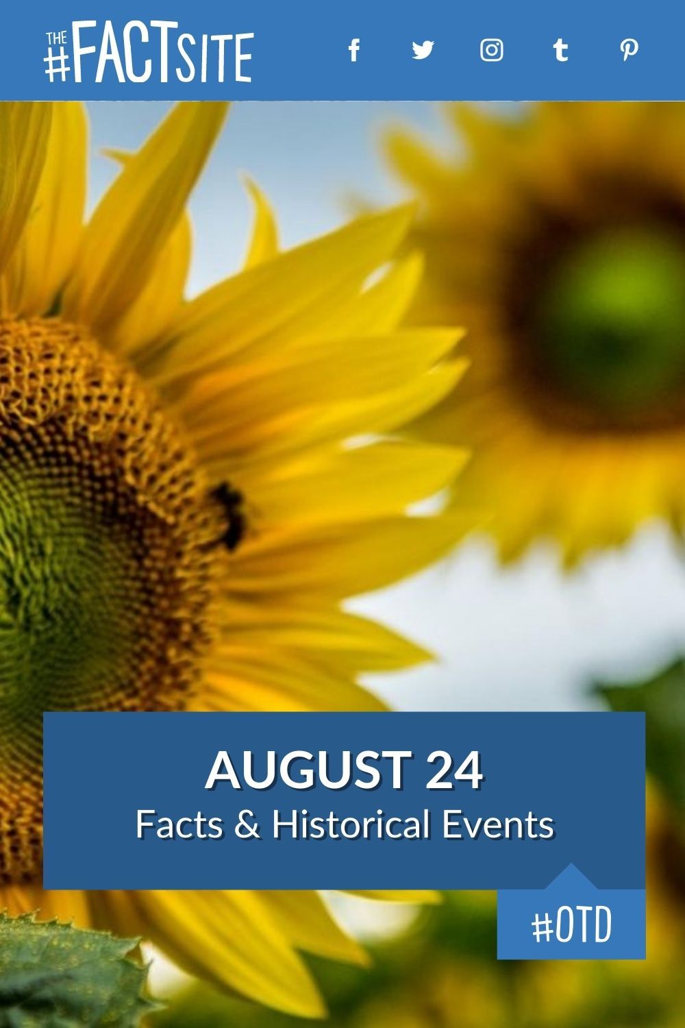 August 24: Facts & Historical Events On This Day