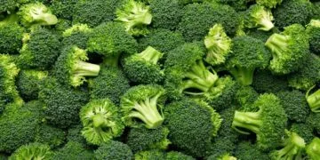 Facts about broccoli