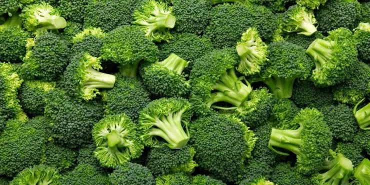 Facts about broccoli