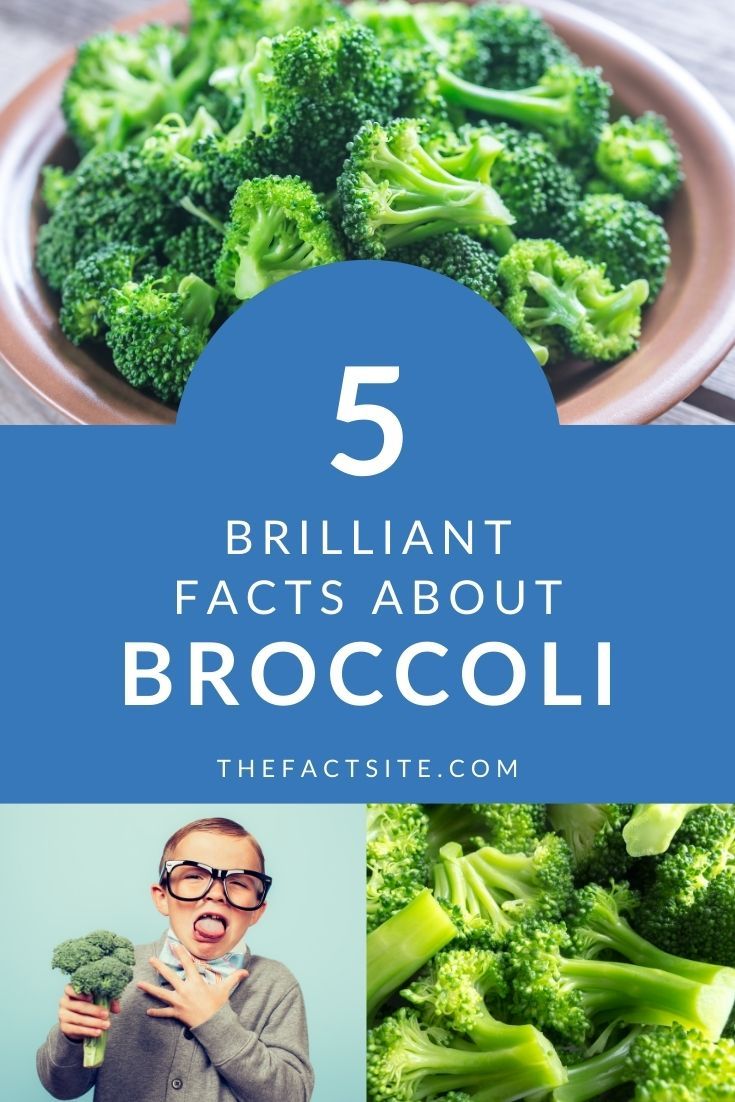 5 Brilliant Facts About Broccoli The Fact Site