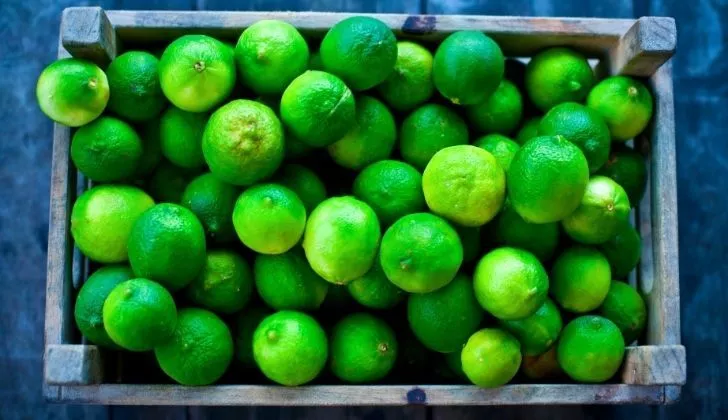 A crate of limes
