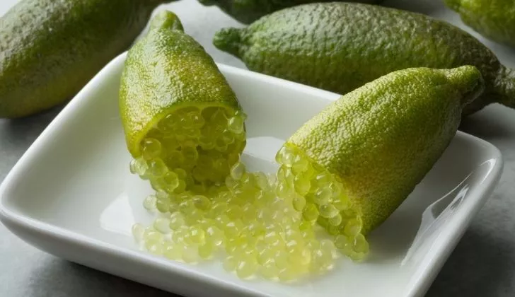 Finger limes cut in half