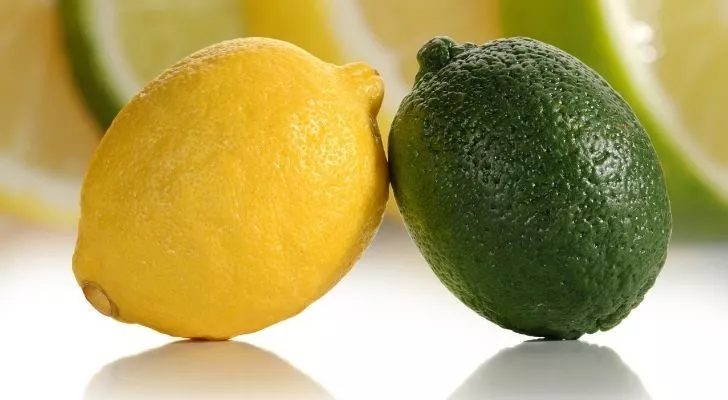A lemon and lime propping each other up