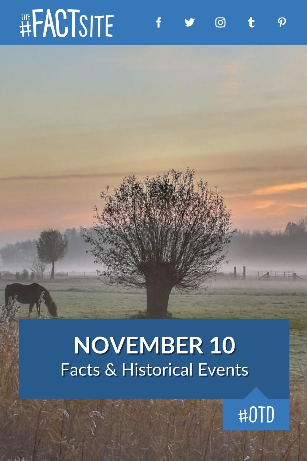 November 10: Facts & Historical Events On This Day