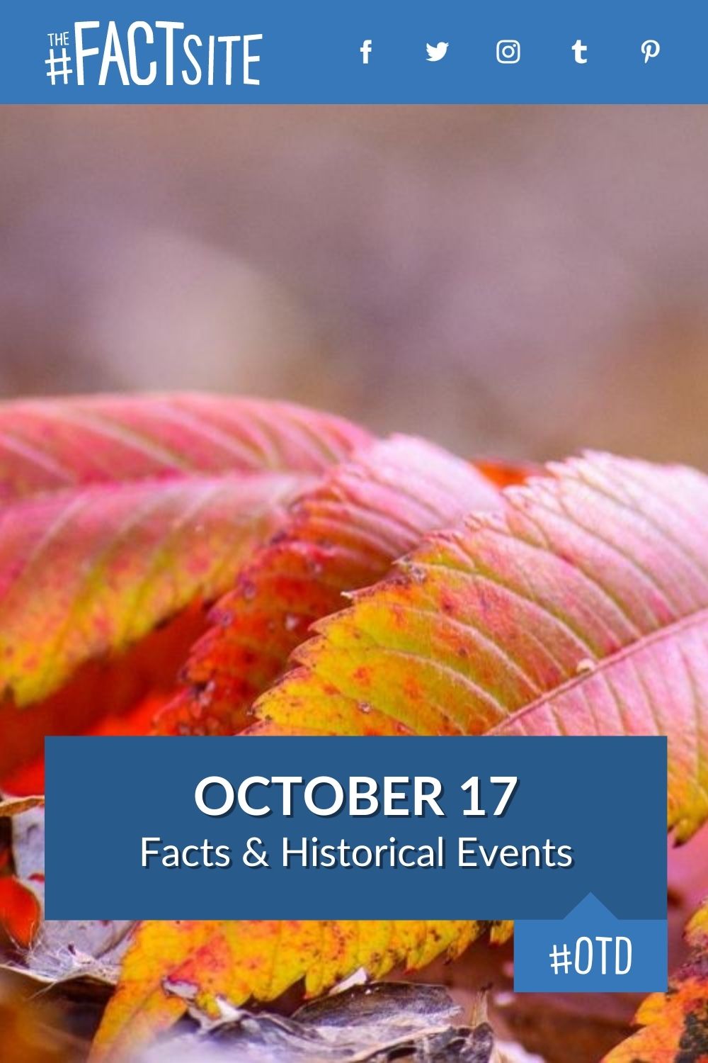 October 17: Facts & Historical Events On This Day