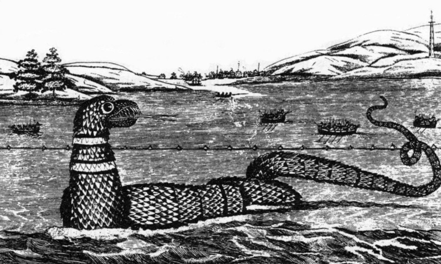 OTD in 1817: There were sightings of a giant sea serpent in Gloucester