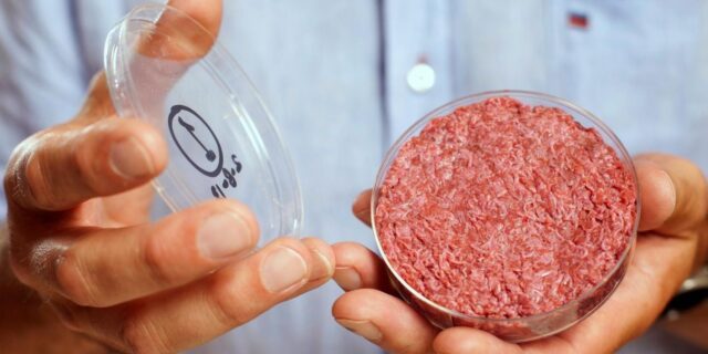 OTD in 2013: The world's first lab-grown bovine stem cell burger was consumed in London.