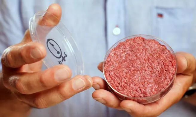 OTD in 2013: The world's first lab-grown bovine stem cell burger was consumed in London.