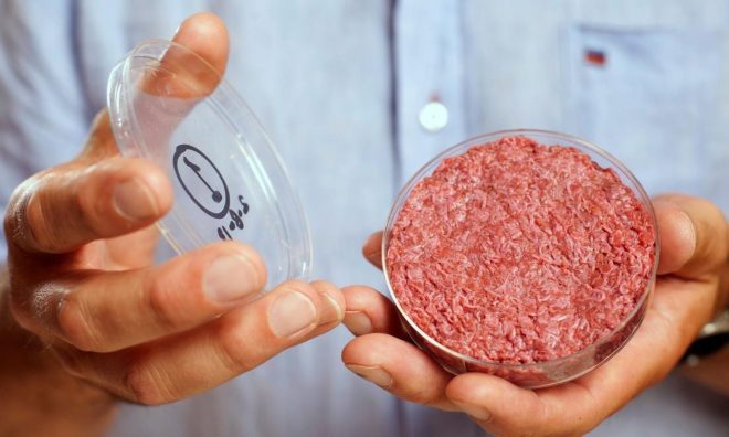 OTD in 2013: The world's first lab-grown bovine stem cell burger was consumed in London.