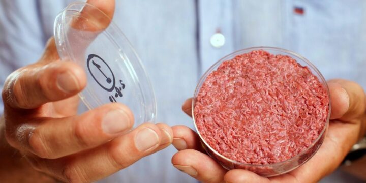 OTD in 2013: The world's first lab-grown bovine stem cell burger was consumed in London.