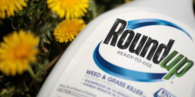 OTD in 2018: Monsanto became liable to pay out $289 million in damages to a groundsman who got terminal cancer from its "Roundup" weed killer.