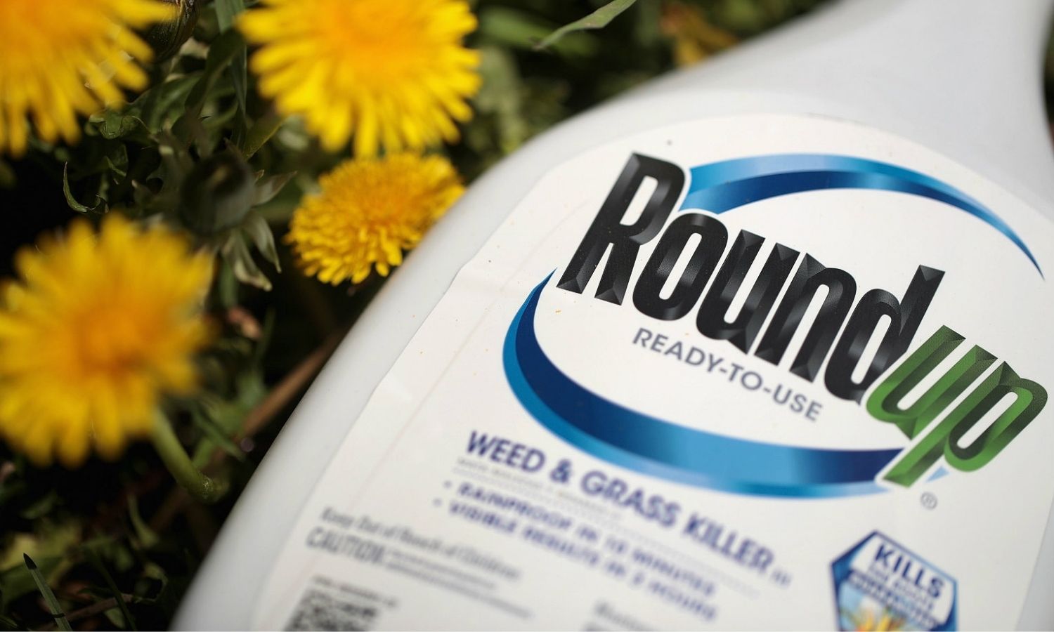 OTD in 2018: Monsanto became liable to pay out $289 million in damages to a groundsman who got terminal cancer from its "Roundup" weed killer.