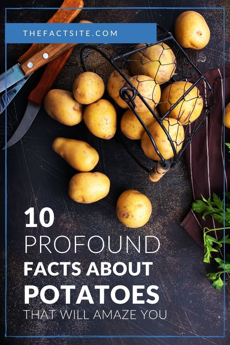 10 Profound Facts About Potatoes